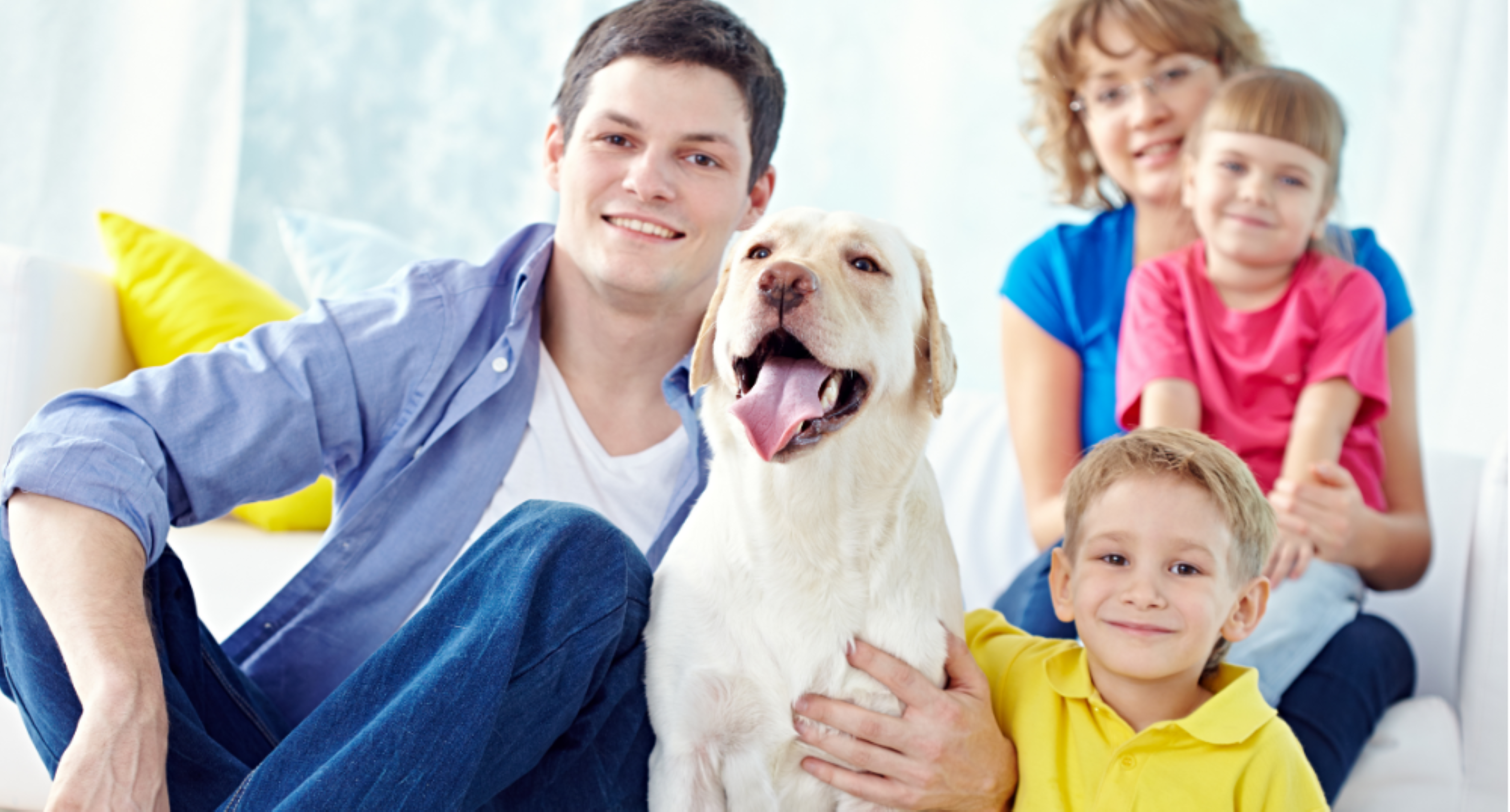 HVAC Maintenance for Pet Owners