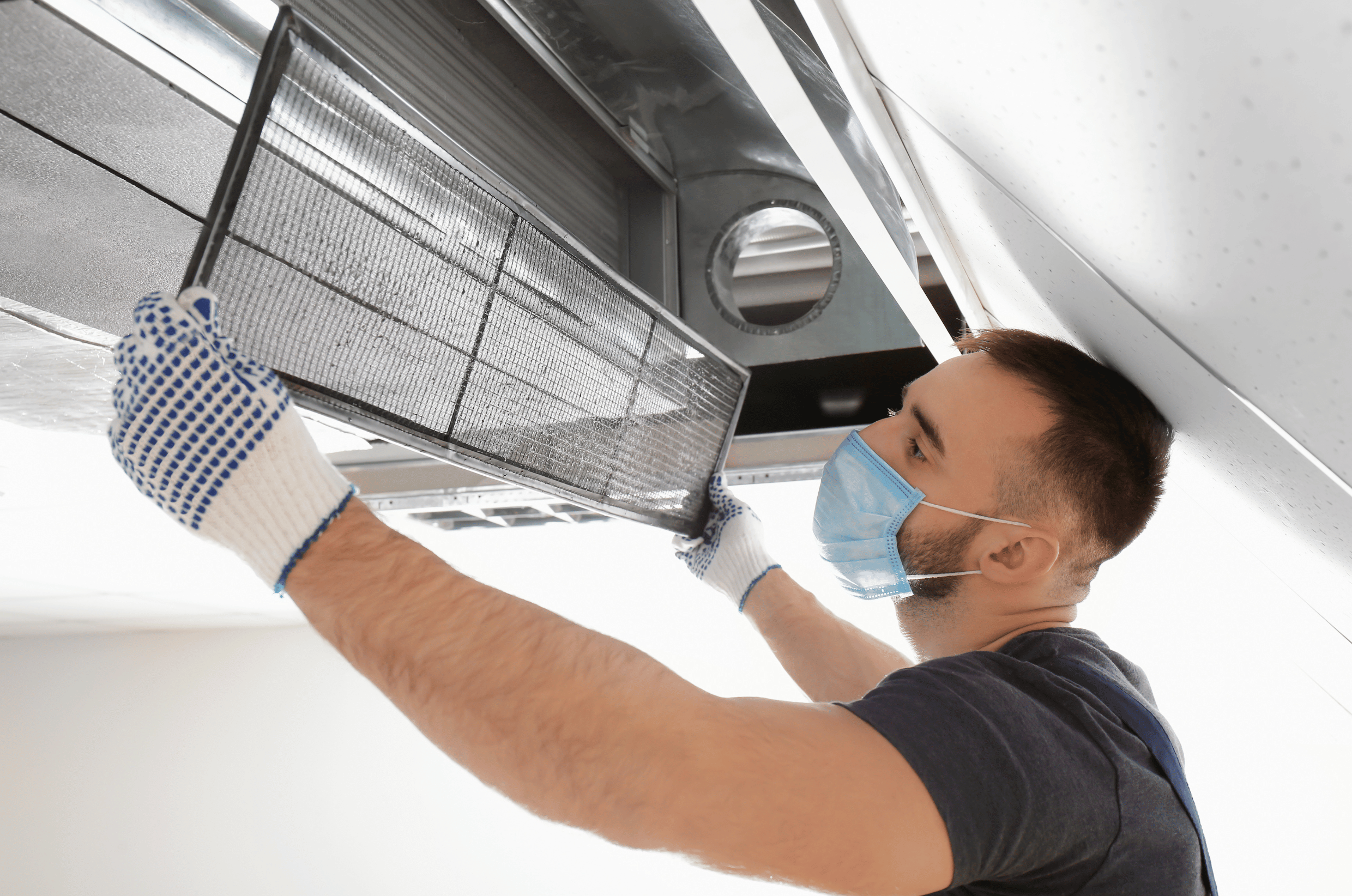 Koala Coolin: Breathe Easy with Healthy Home Air Solutions