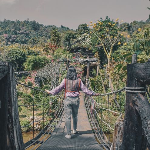 Suspension bridge