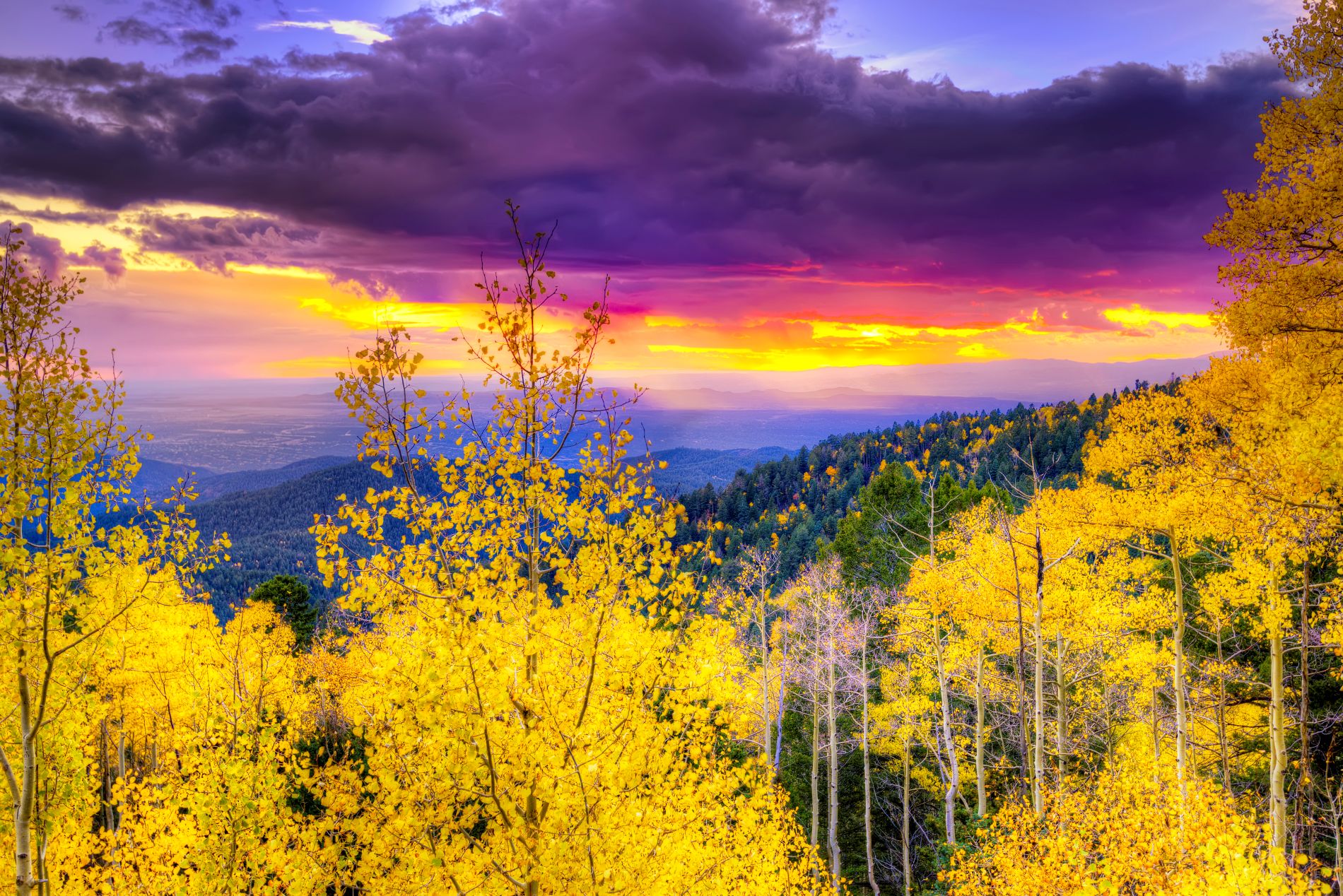 Mountains with trees in fall with yellow leaves and colorful clouds
