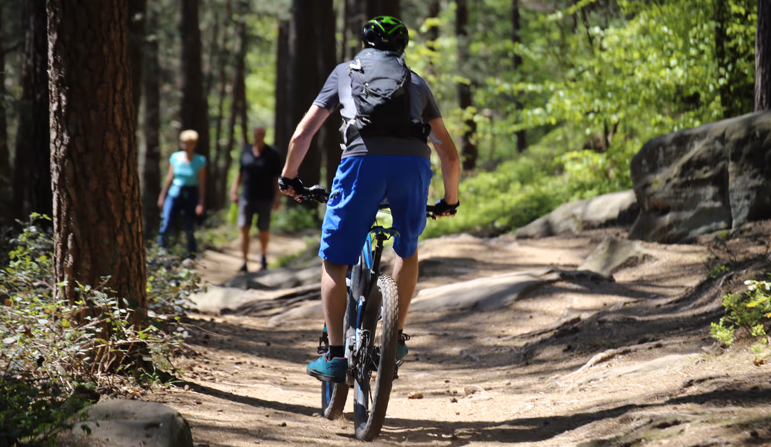 Man mountain biking on a trail