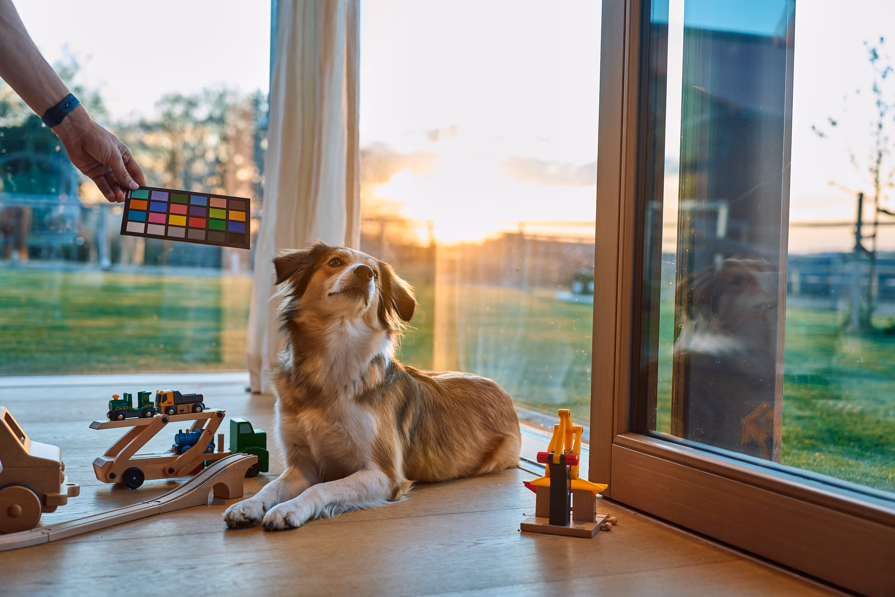 Ein braun-weißer Hund liegt auf dem Holzfußboden neben Holzspielzeugen vor einer Glasschiebetür mit Blick auf eine grüne Wiese bei Sonnenuntergang.