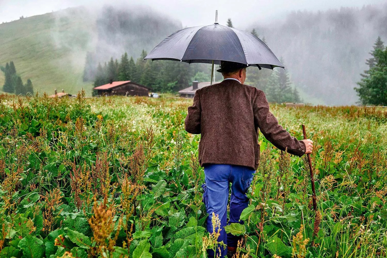 Bauer geht mit Regenschirm ueber seine Wiese