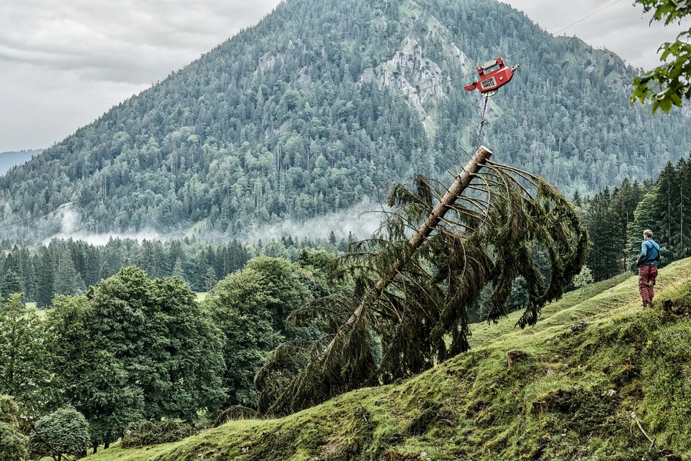 Baum wird per Seilsystem vor Alpenwaldkulisse abtransportiert.