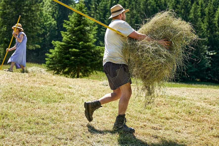Mann trägt loses Heu von Hand auf sonniger Bergwiese.
