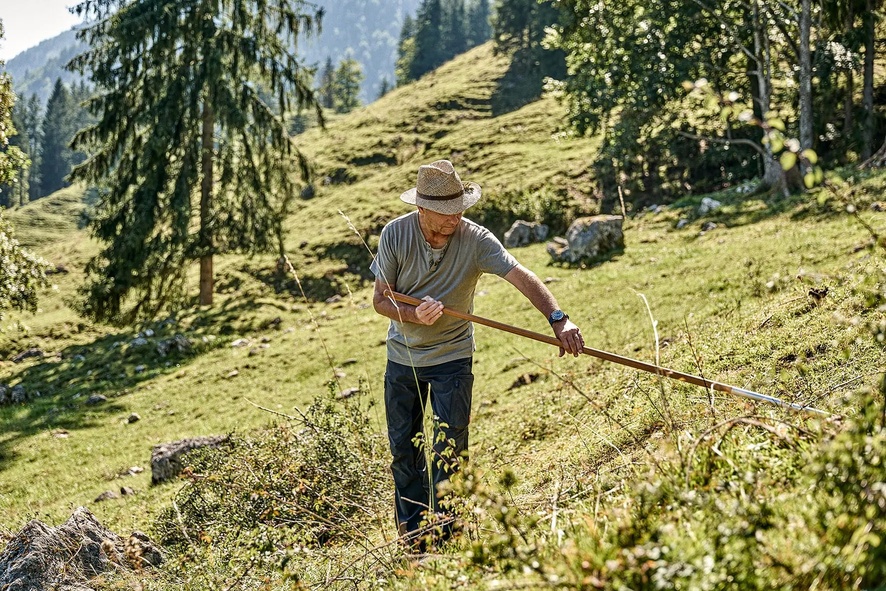 Älterer Mann mäht steilen Berghang mit Sense bei Sonnenlicht.
