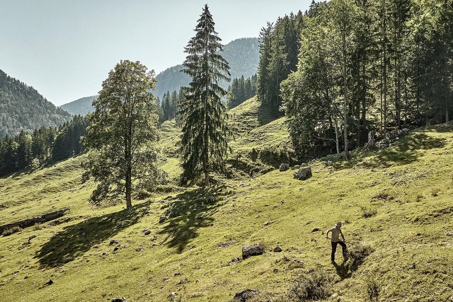 Mann arbeitet auf sonniger Bergwiese zwischen Wald und felsigem Gelände.