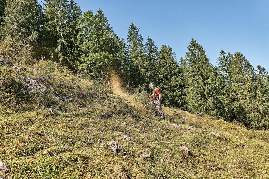 Arbeiter mit Freischneider am bewaldeten Berghang unter blauem Himmel.