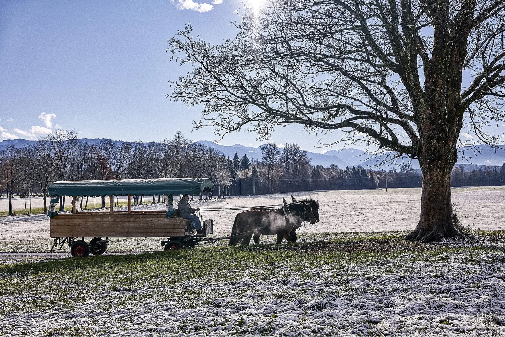 Zwei Pferde ziehen eine überdachte Holzkutsche auf einem schneebedeckten Feld bei klarem Himmel.
