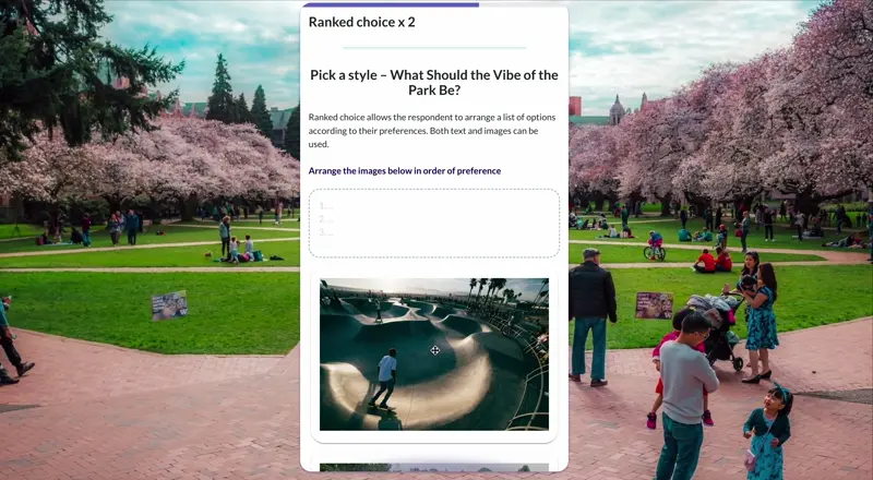 Maptionnaire Visual Survey