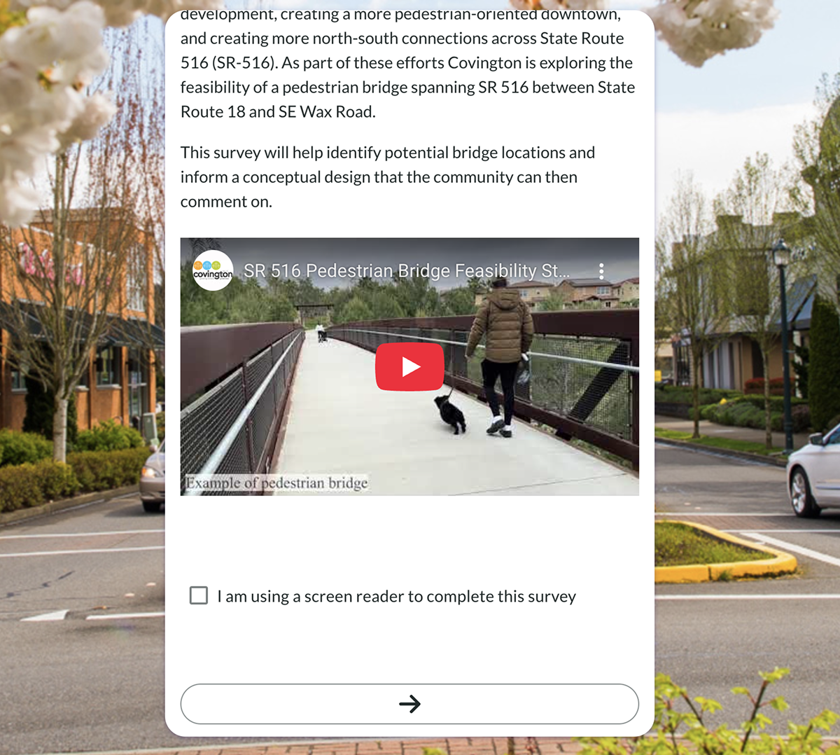 Example of questionnaire with a screen reader option