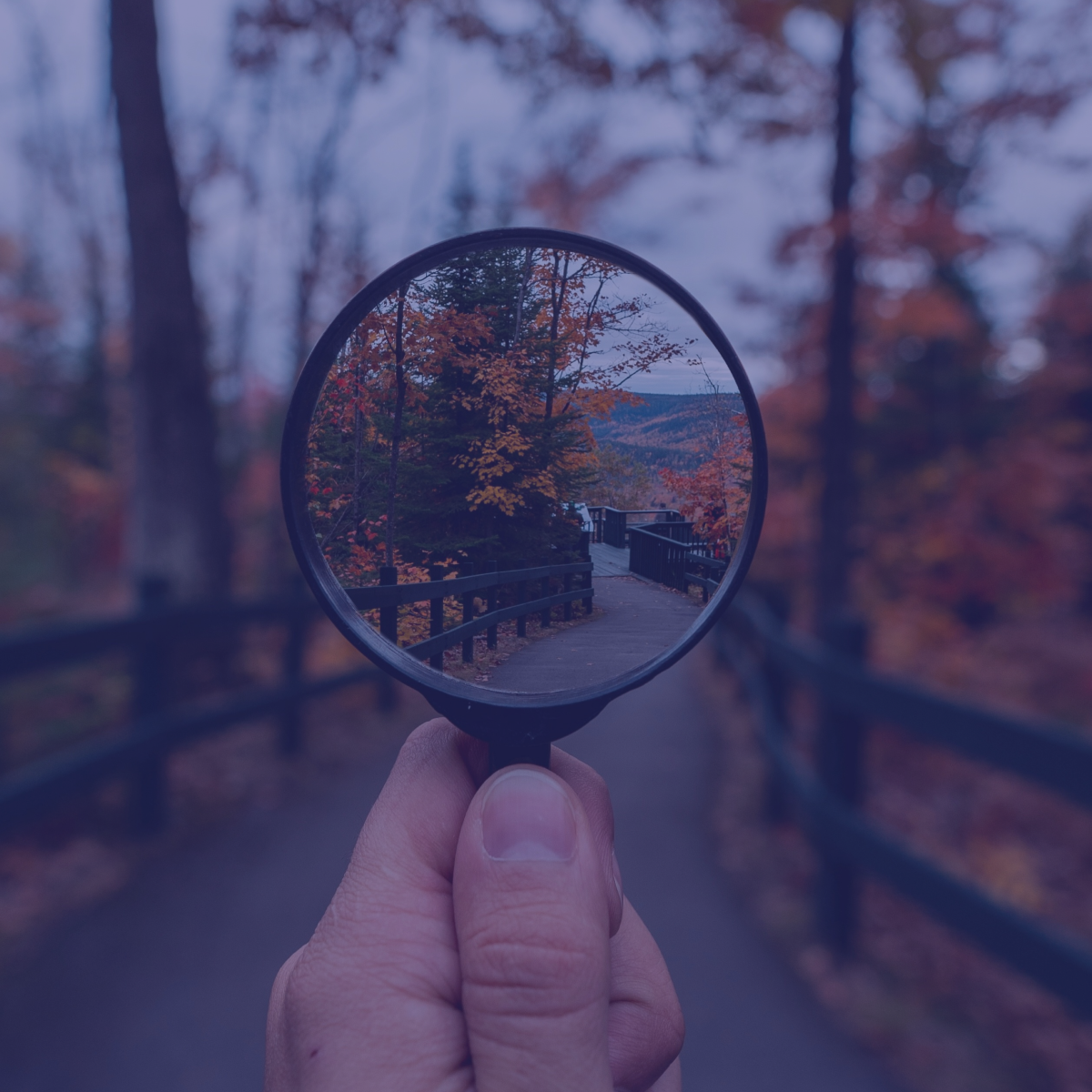 A hand holds a magnifying glass over a wooded trail, bringing the path into sharp focus against a blurred autumn background