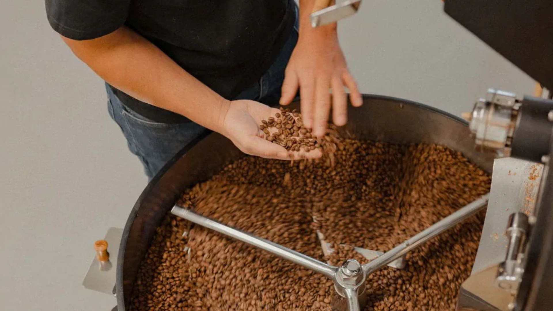Zwarte Roes coffee roasting