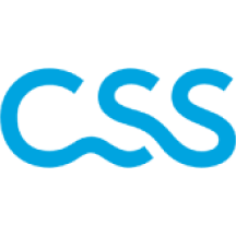 CSS logo