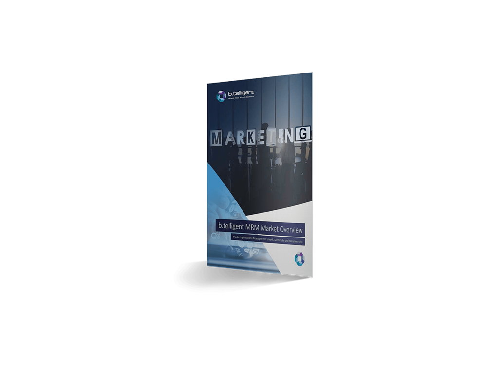 mockup btelligent whitepaper mrm market overview
