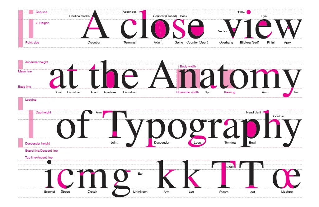 Anatomy of Typography
