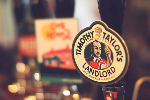 close up photo of beers at bar