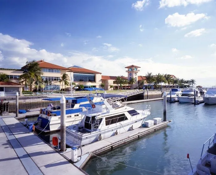 A seaport with boats and yachts at the docks