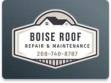 Boise Roof Repair and Maintenance