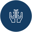 Sustainability and social impact