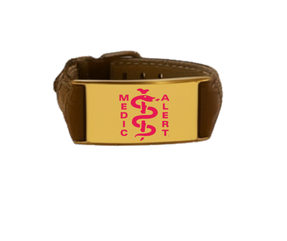 Deep Brown Leather Bracelet