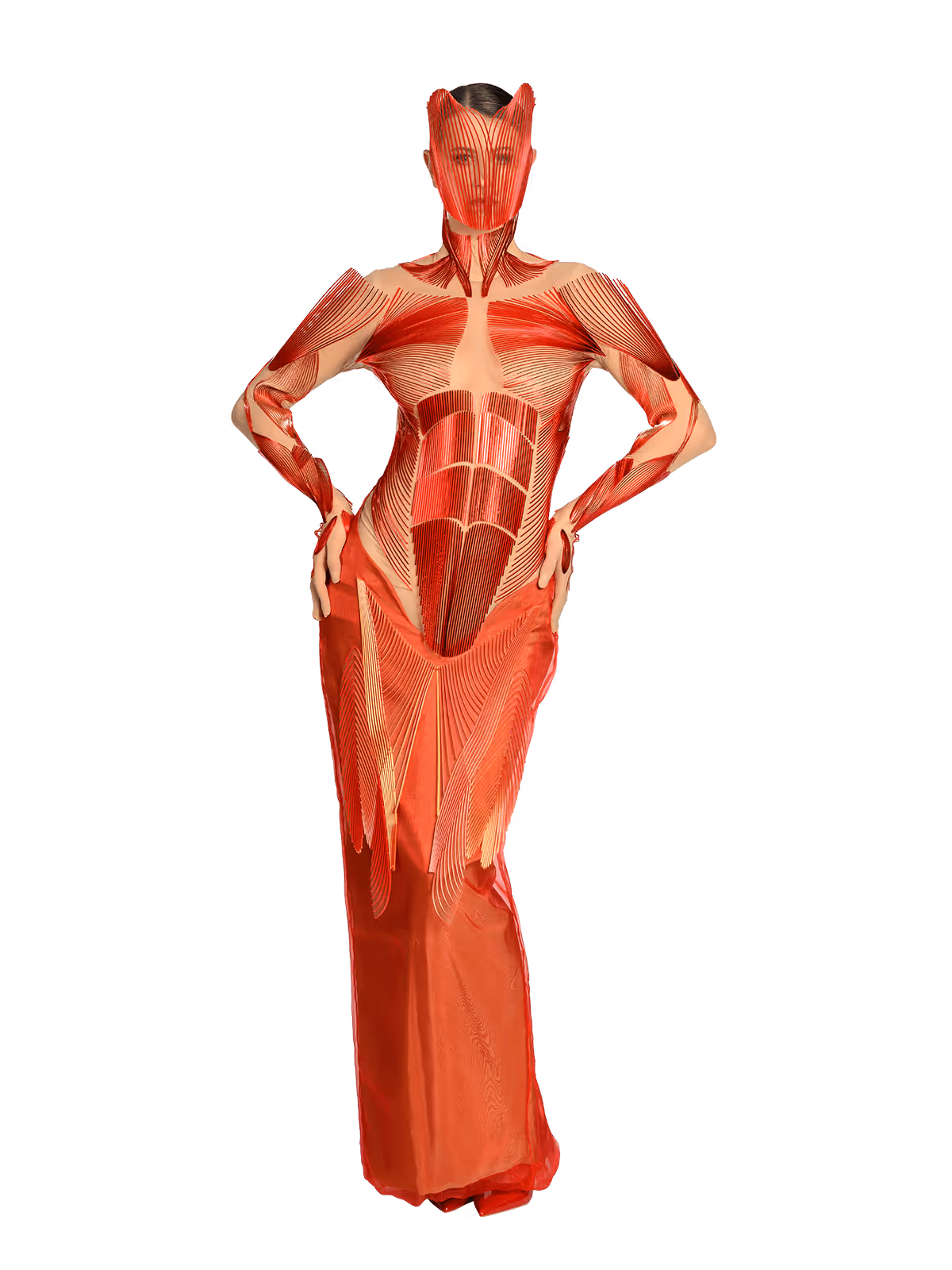 Inside Out, Stephanie Johnson, Ireland