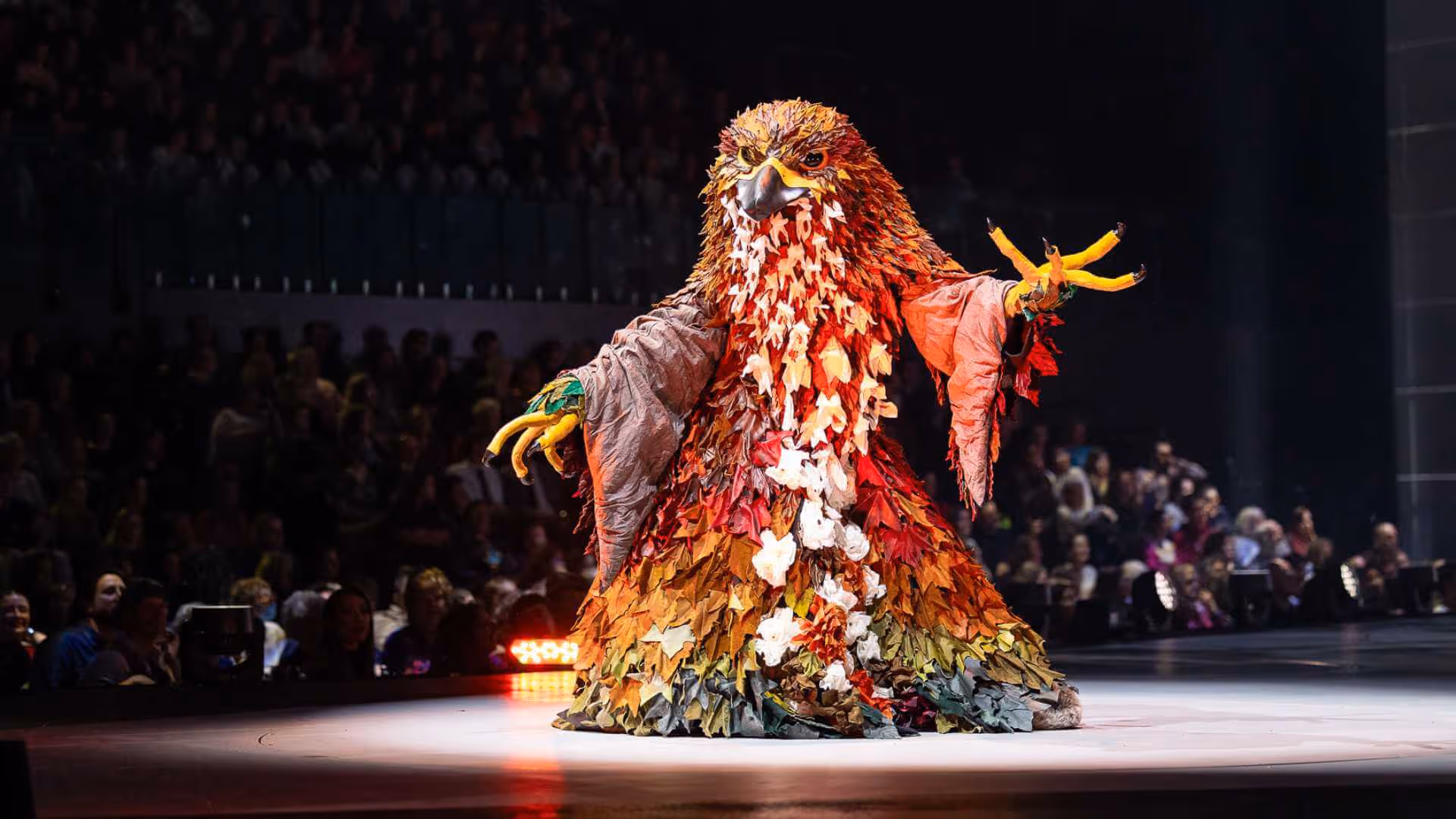 Autumn King, Catherine Anderton, New Zealand