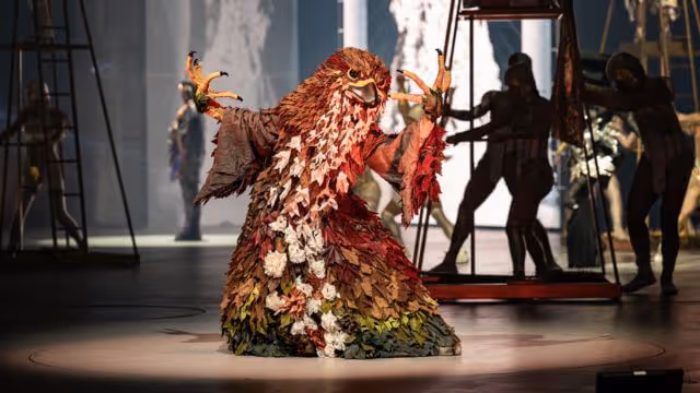 Autumn King, Catherine Anderton, New Zealand