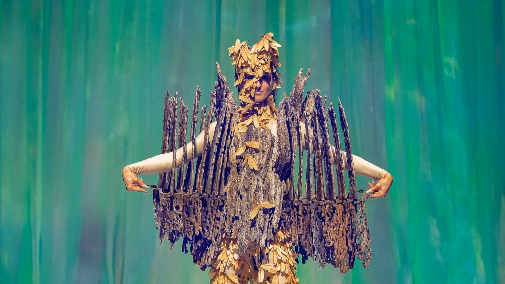 Termite Cathedral, Katherine Bertram