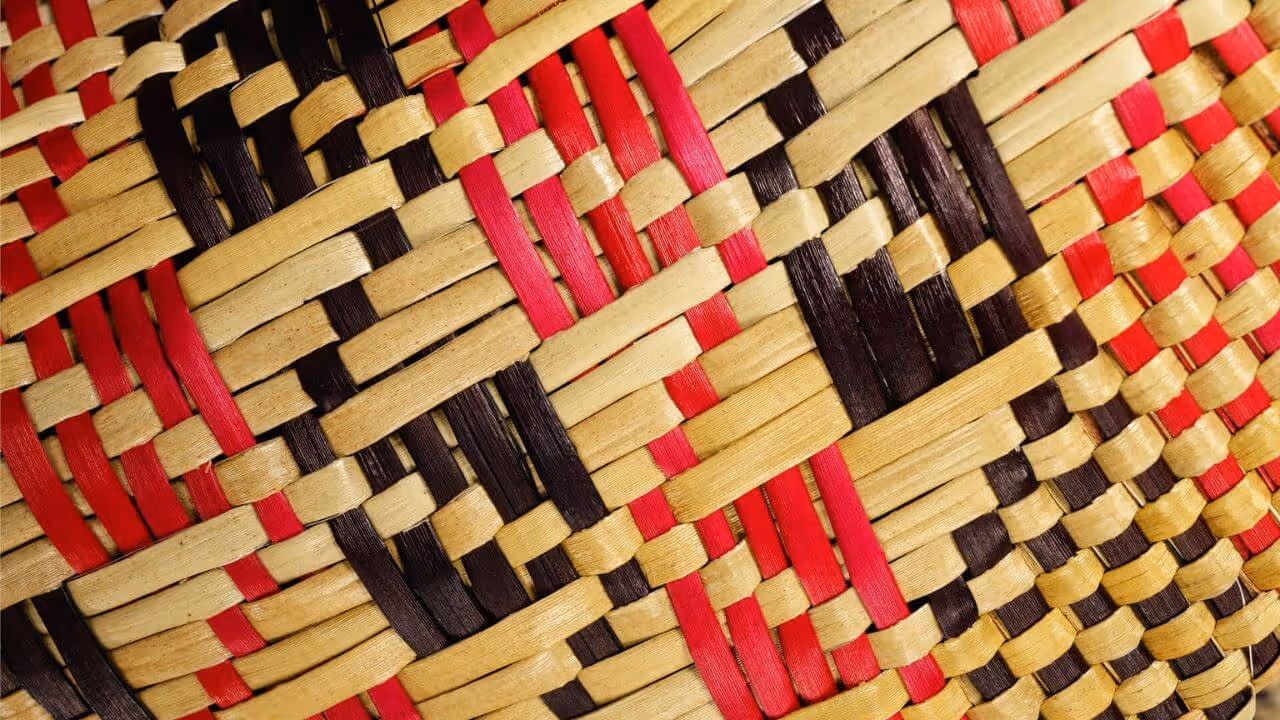 Ko Au Ko Harakeke, Ko Harakeke Ko Au, Anna Hayes-Moeau, Ngāti Kahungunu ki Te Wairoa, New Zealand