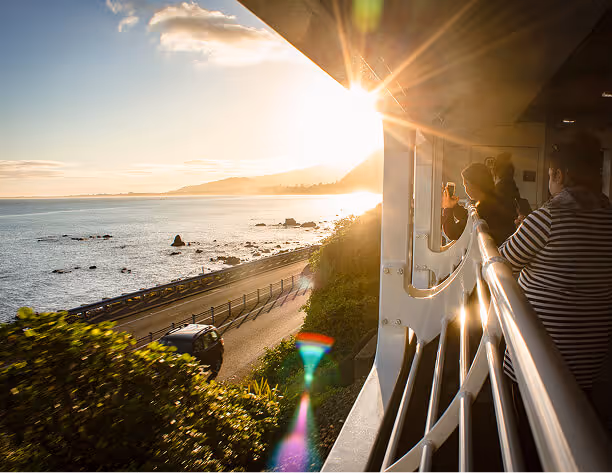 Great journey New Zealand