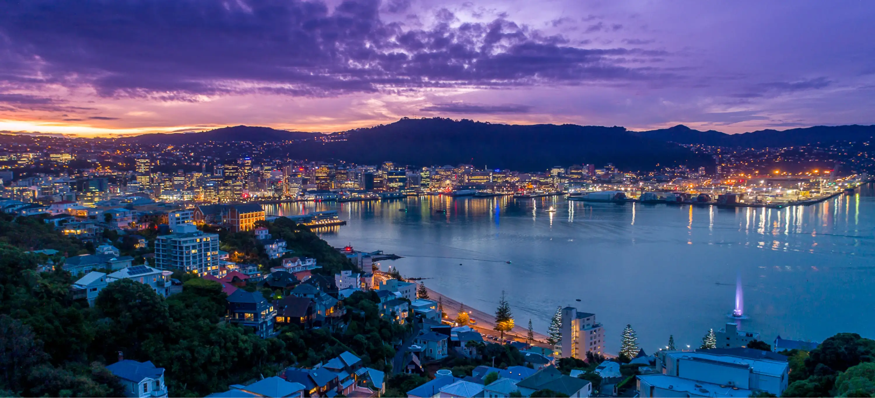 Wellington Landscape