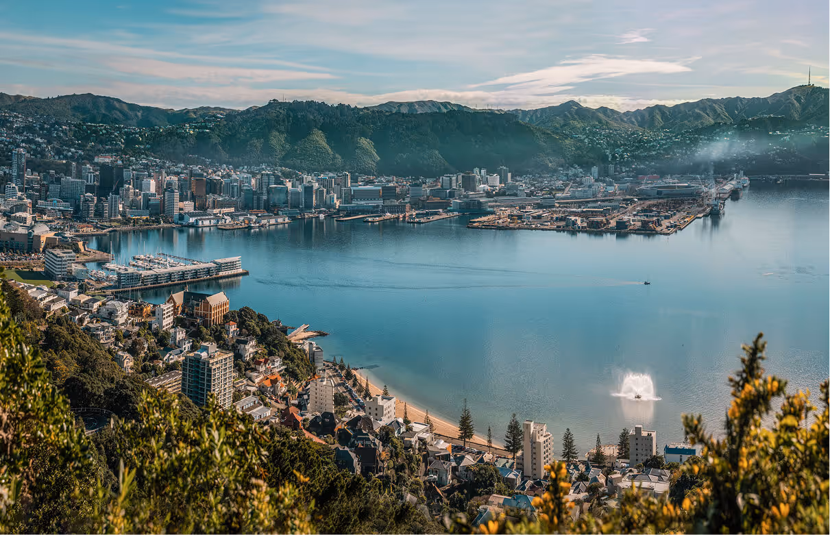 Wellington City
