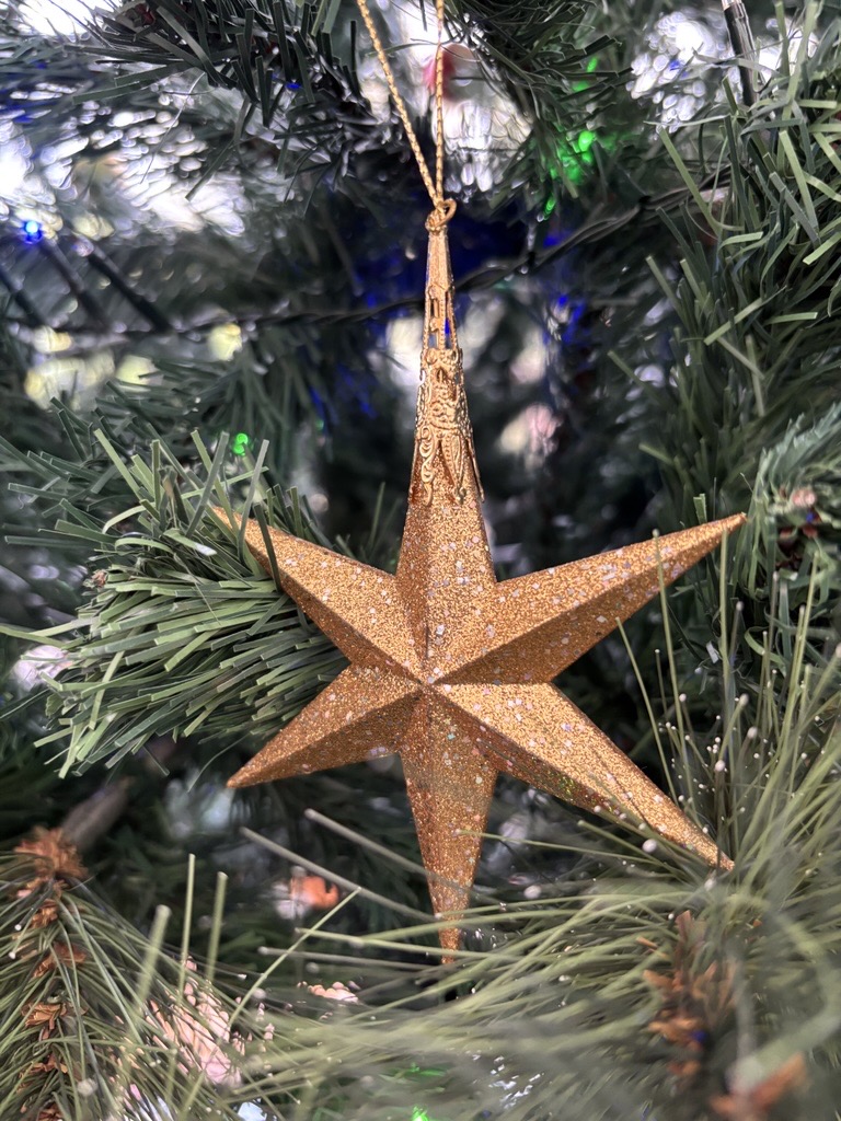 gold star ornament on Christmas tree