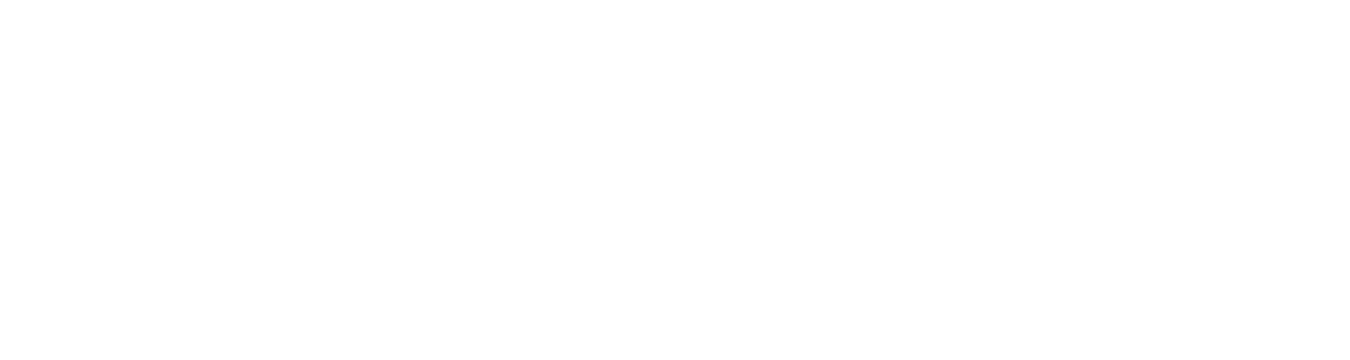 2020INC logo