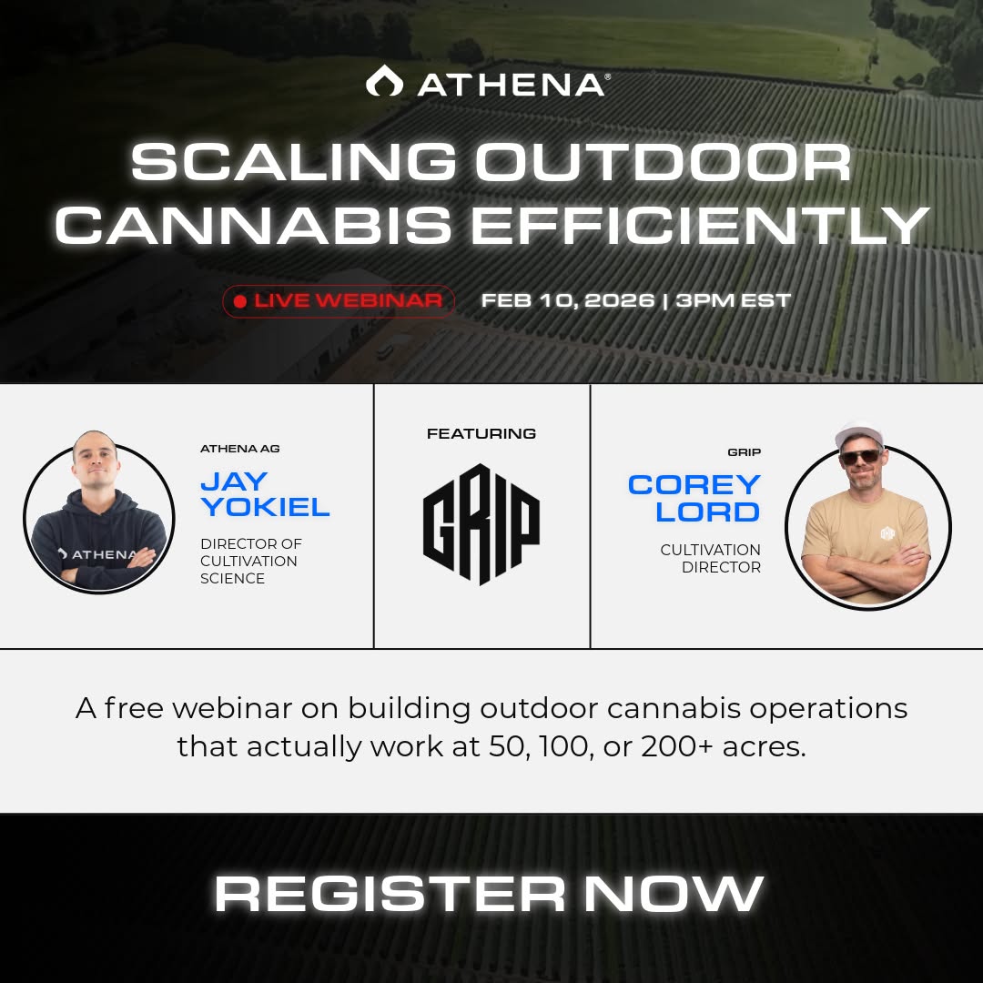 Scaling Outdoor Cannabis Efficiently