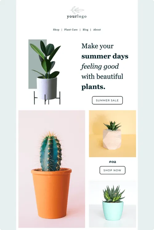 Seasonal promotion email template