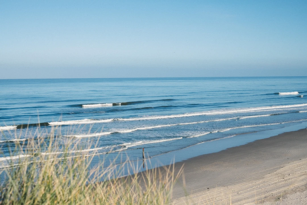 Surf Report Terschelling
