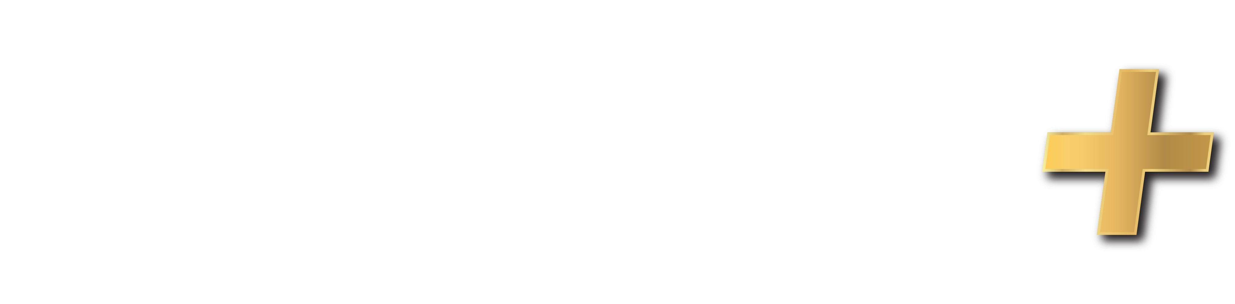 DUPR+