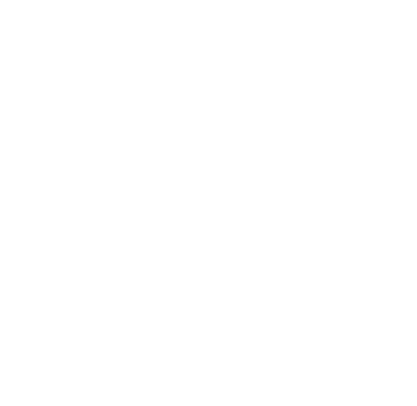JOOLA — Official Ball of DUPR