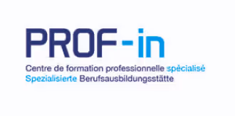Prof-in Logo