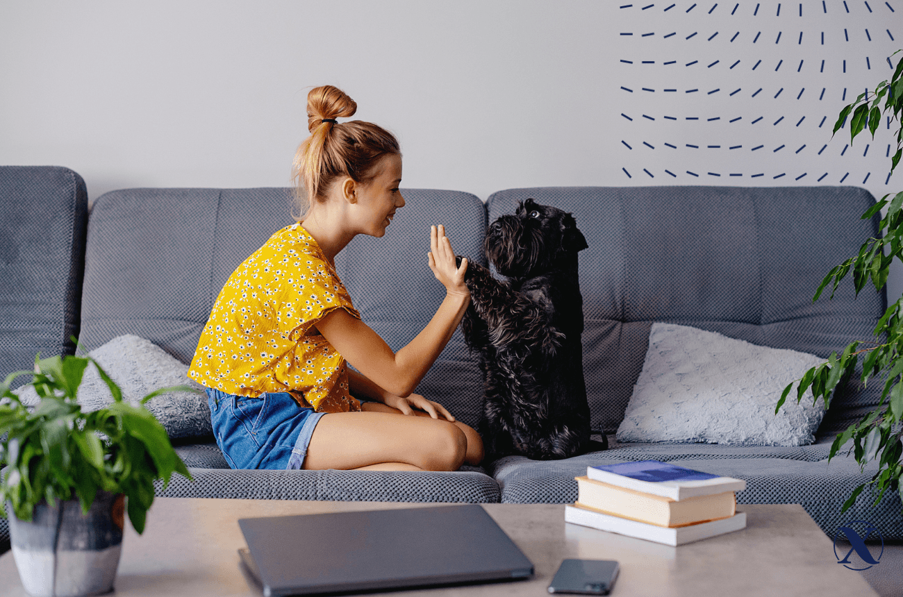 Woman high-fiving her dog