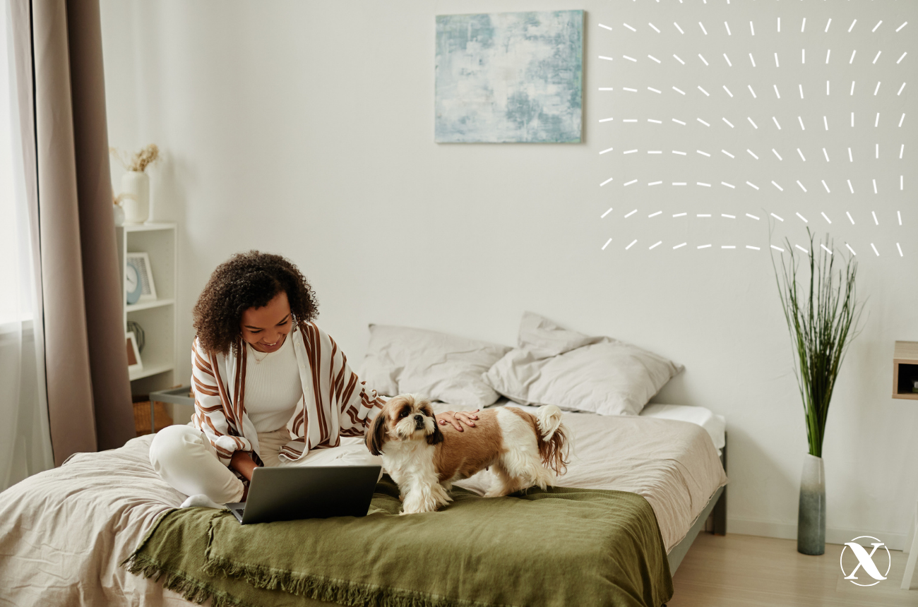 Woman on bed with dog looking at laptop