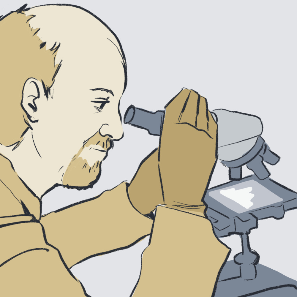 Contenido del artículo