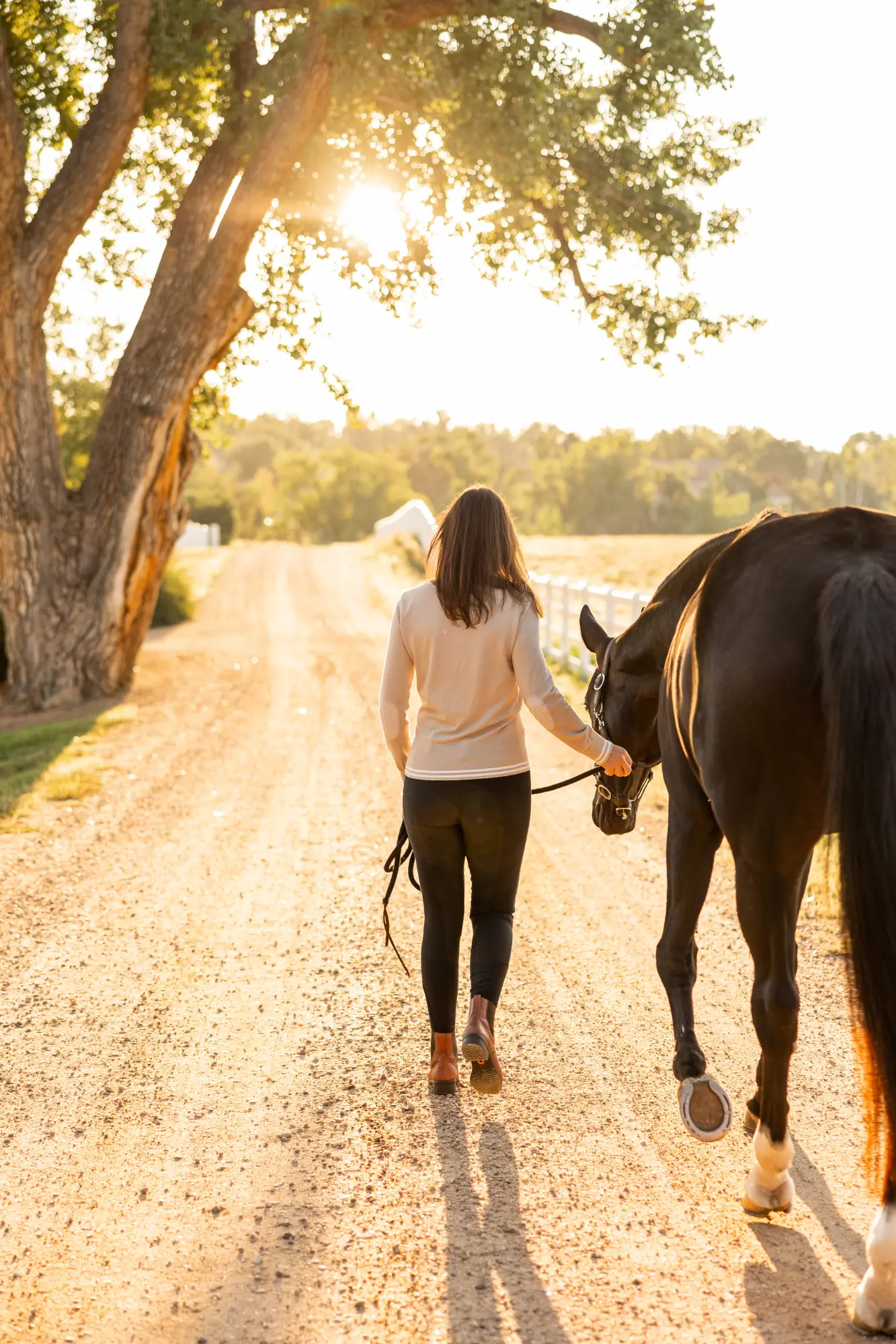 Woman walking a black horse on a sunlit dirt road with trees and a white fence in the background.