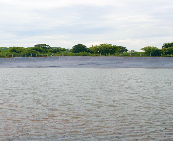 Heartland Revival - II