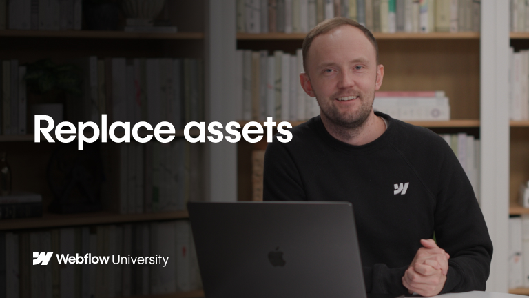 Replacing assets in the Assets panel
