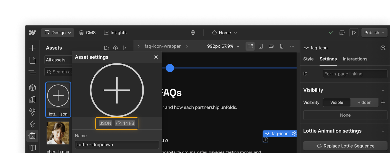 A screenshot of a JSON file (Lottie animation) in the asset panel showing a lightweight file size of 14 kB.