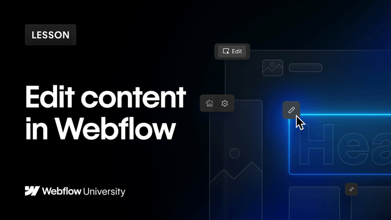 Granular access control - Webflow University
