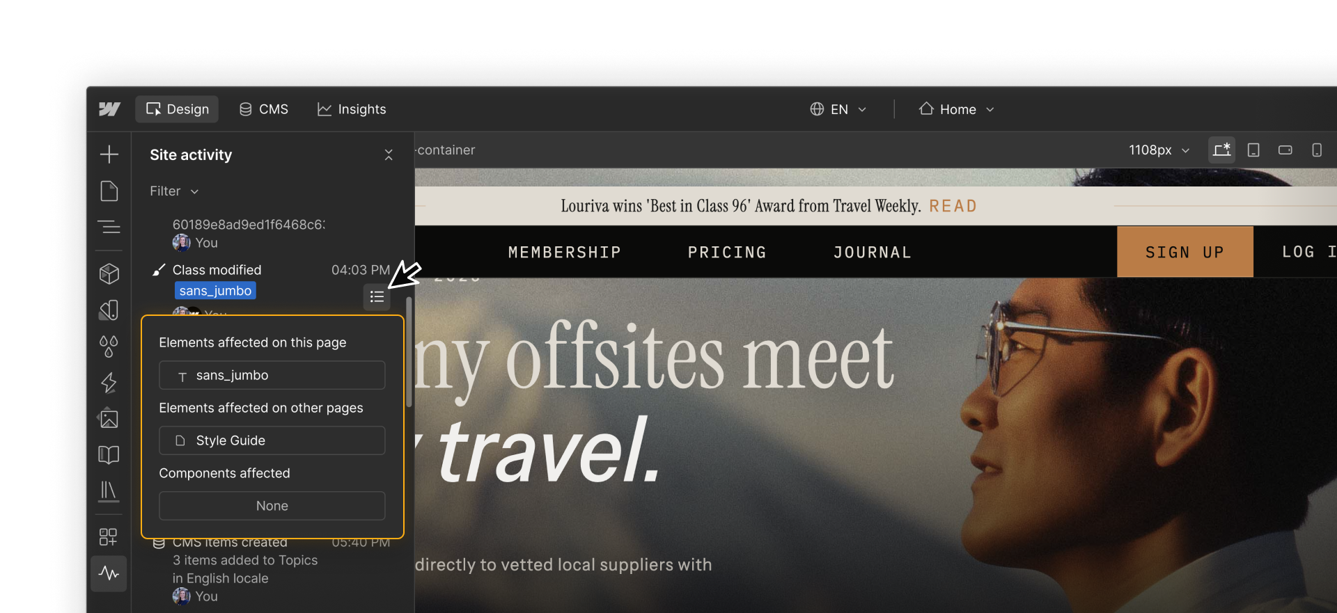 A single SAL entry expanded to show affected elements and pages.